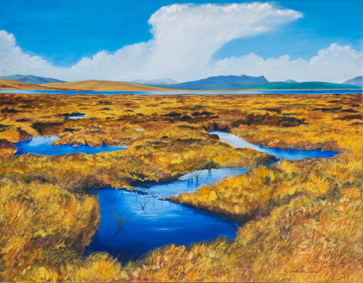 Loch Loyal Bog : oil on canvas